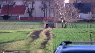 Uwaga! TVN: Agresywne owczarki terroryzują wieś