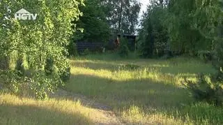 HGTV: Jakość gleby. Jakie rośliny sadzić w ziemi niskiej klasy?