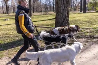 Jak wybrać linkę treningową? 