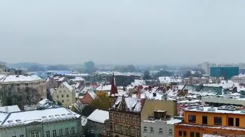 DD_20230311_Sroki_rep_REP