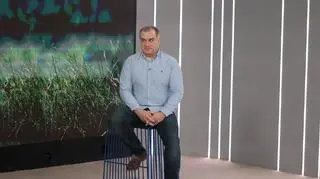 Łosie i jelenie rozpoczęły zrzucanie poroża. Czy możemy je zabrać na pamiątkę?