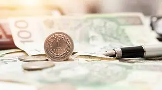 Niemal co piąty Polak chce wyjechać z kraju za pracą. Gdzie szukają lepszej przyszłości? 