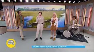 Przebiśniegi w nowym singlu “Sawanna” 