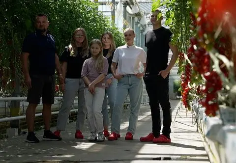 Od trzech pokoleń uprawiają pomidory. "Doszliśmy do skali 56 hektarów"