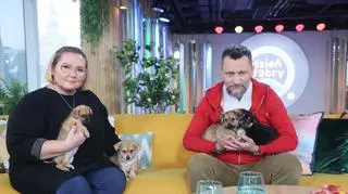 Jak przewidzieć, co wyrośnie ze szczenięcia?