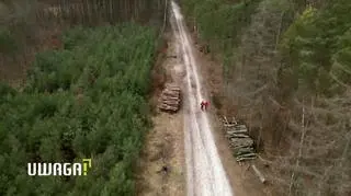Uwaga! Kulisy Sławy: Sarsa