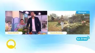 Jesienne smaki 