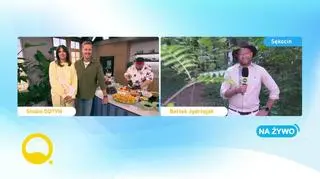 Bartek Jędrzejak na szlaku leśnych gigantów
