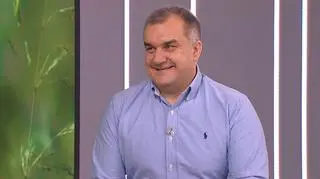 Sekretne  życie wiewiórek 
