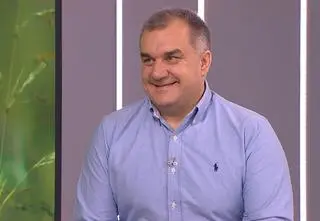 Jak wiewiórki przygotowują się do zimy? 