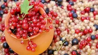 Przetwory z porzeczek. Przepis na dżem, sok i kompot z porzeczek