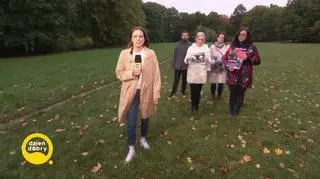 Kto truje psy w Szczecinie?