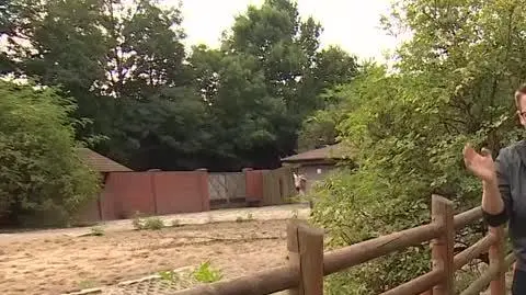 DD_20210916_ZOO_REP