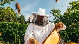Jak powinien wyglądać strój pszczelarza? Jak go nosić, wykorzystywać i czy można go czymś zastąpić?