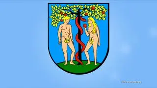 Kontrowersyjne i groteskowe herby polskich miast. "Emocje wzbudził biust syrenki" 