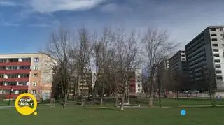 Jak miejsce, w którym mieszkamy wpływa na nasz mózg? 