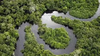 Nizina Amazonki. Przyroda, rolnictwo, ciekawostki