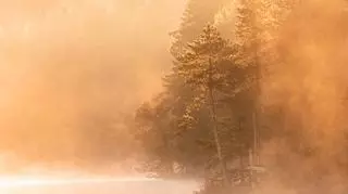 mgła jesienna