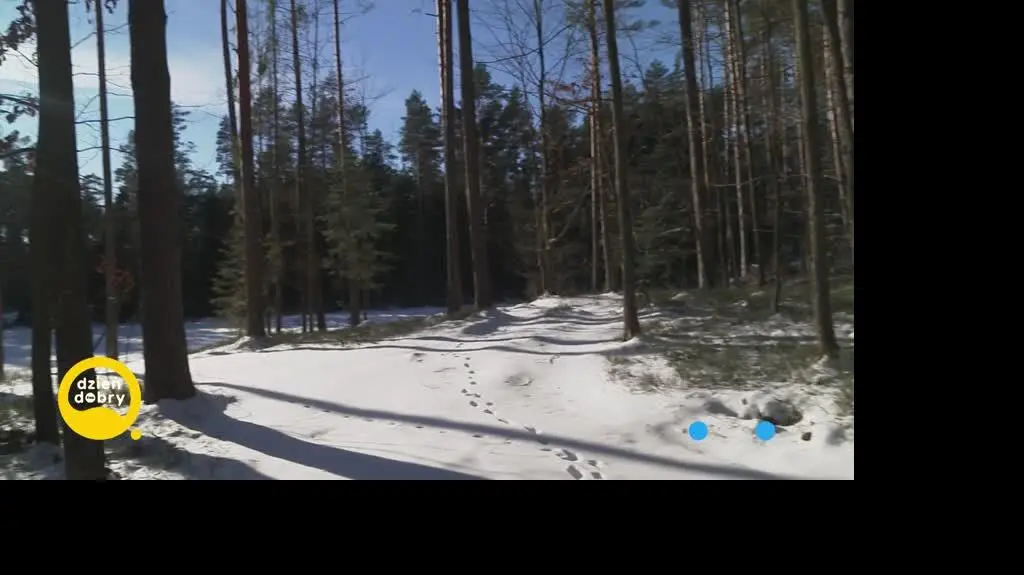 DD_20240125_Wilki_rep_REP