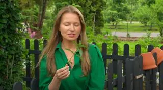 Agnieszka Cegielska 