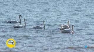 Ciche dni w związkach