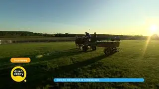 Święto ziemniaka w Szreniawie 