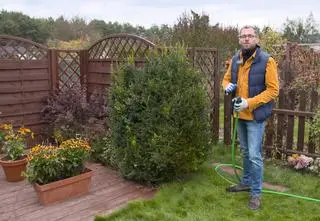 Porządki na działce przed zimą. "Dzięki temu w przyszłym roku plony będą jeszcze większe"