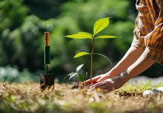 Ogrodnicze triki: czy naprawdę działają? "Zamiast róży będziemy mieli krzak ziemniaka"