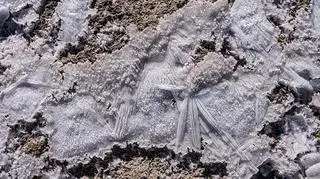 Ziemia pokryta śniegiem i szronem. Alerty IMGW. 