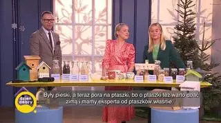 Czym karmić ptaki zimą? (napisy)