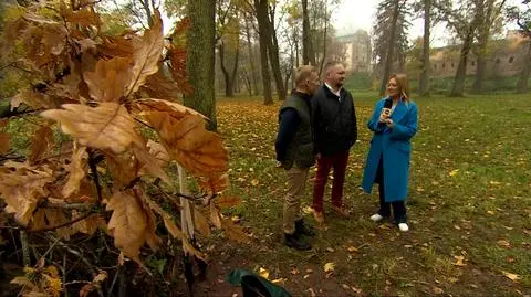 Dolny Śląsk. Sadzenie drzewka dla królowej Elżbiety II