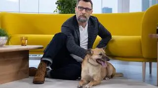 Kiełek czeka na adopcję. Behawiorysta: "On szuka wsparcia człowieka"