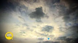 Oswajając odchodzenie