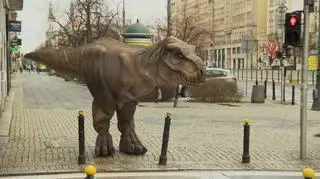 Dinozaur i dinozaurowe słodkości dla dzieci 