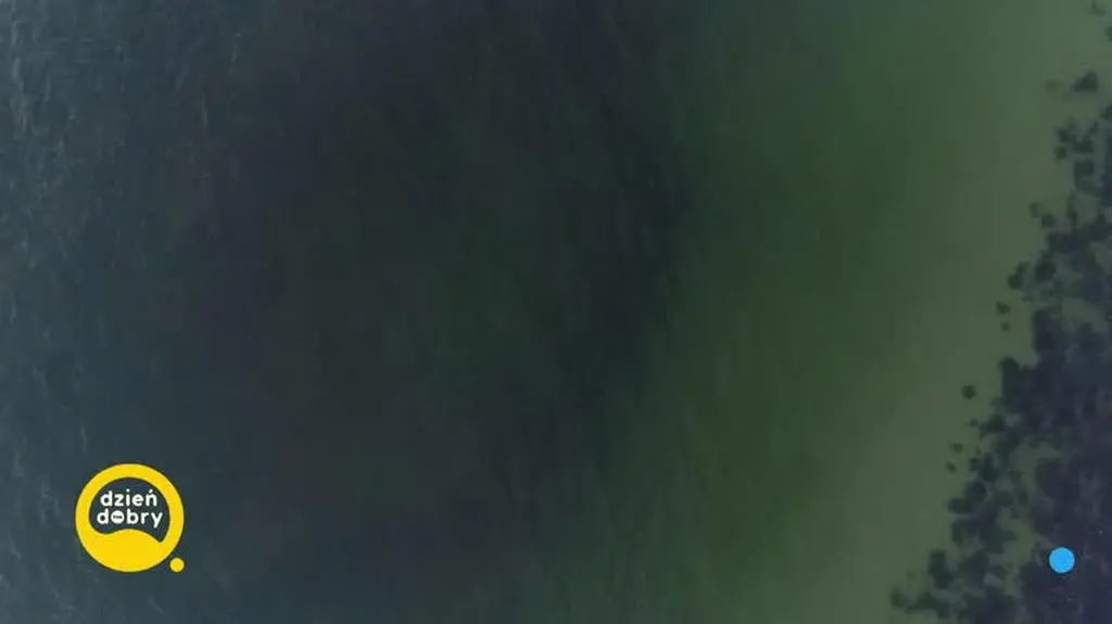 DD_20210921_Tsunami_rep_REP