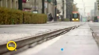 Urodzinowy dzień Urszuli Dudziak 