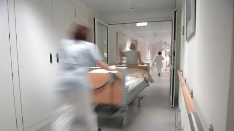 Dwie osoby zmarły po zakażeniu wirusem Zachodniego Nilu