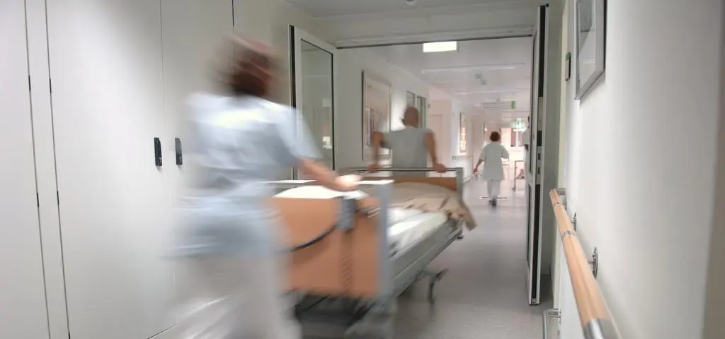 Dwie osoby zmarły po zakażeniu wirusem Zachodniego Nilu