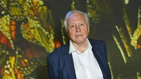 Dyniowy portret sir Davida Attenborough. Pobito rekord Guinnessa