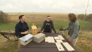 Masz dosyć plagi komarów? Zrób domek dla jerzyka zwyczajnego