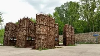 Zrewitalizowali park, który powstał na gruzach Warszawy