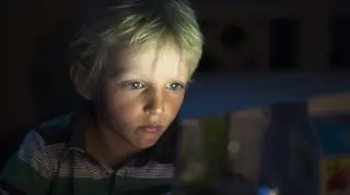 Coraz młodsze dzieci mają kontakt z filmami dla dorosłych w sieci. "Te materiały budzą niepokój"