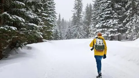 Niedźwiedzica na szlaku do Morskiego Oka