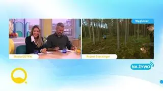 Grzyby filarem zdrowej diety