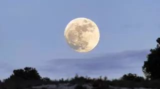 Pierwsza Pełnia Księżyca w 2023 r. Jak na nas wpłynie Wilczy Księżyc?