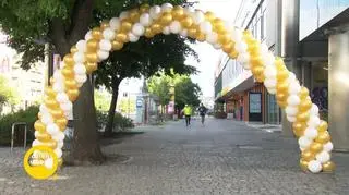 Bieg z Watykanu do Warszawy w szczytnym celu