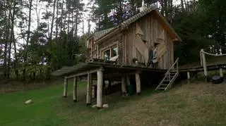 Uwolnij w sobie wilczą energię 