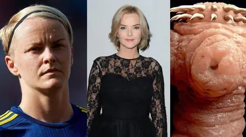 Te newsy mogłeś przegapić - podsumowanie środy, 13 czerwca w Dzień Dobry TVN 