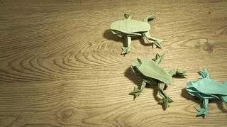 Origami – żaba skacząca, z kółek lub szablonu