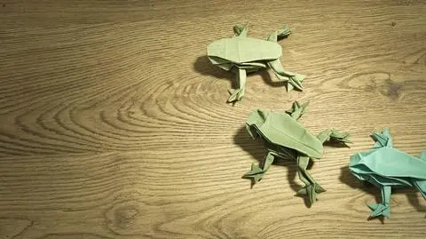 Origami – żaba skacząca, z kółek lub szablonu